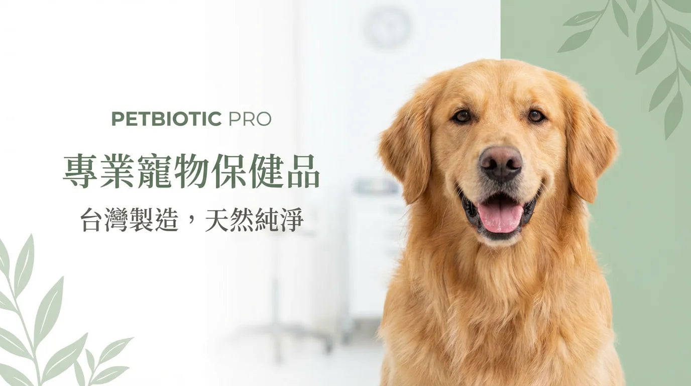 方案 B：专业保健信任风